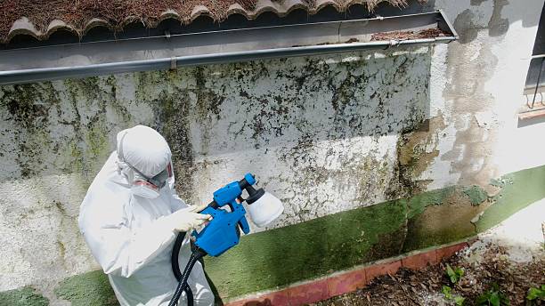 Top rated local Mold Removal specialists in Locust Hill, VA